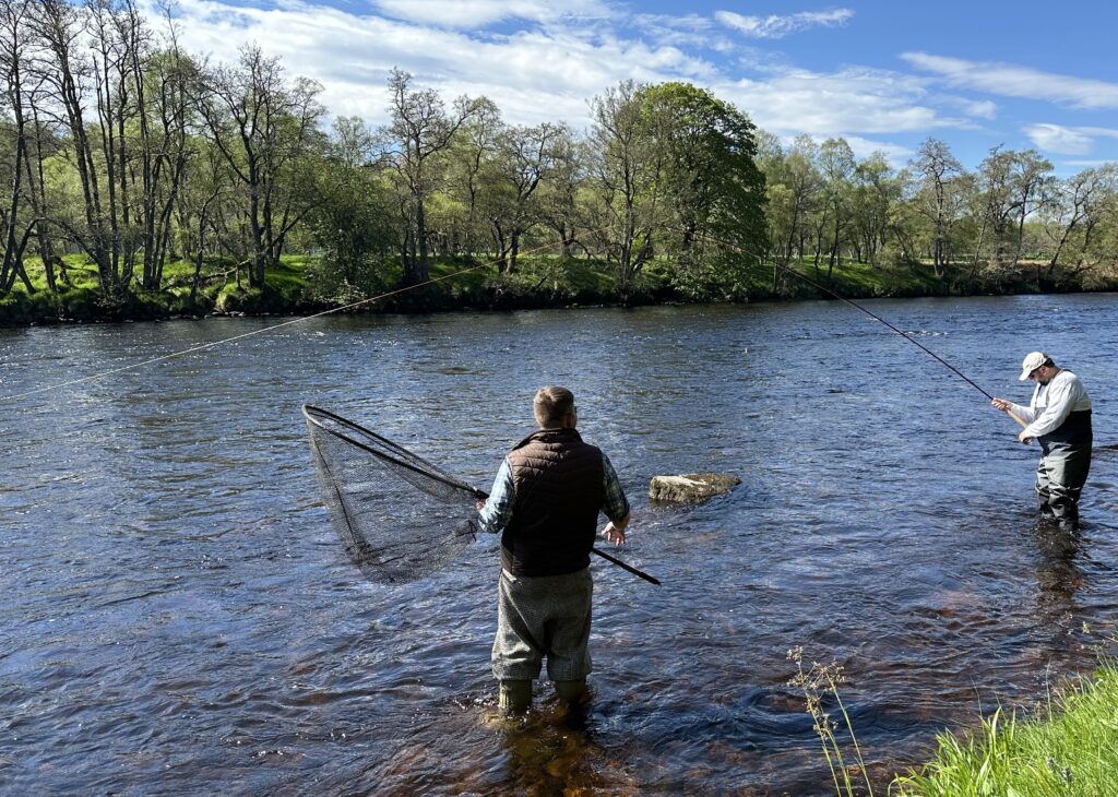 spey speyjoki riverspey speyriver speyälvenorton castlegrant scotland skotlanti skottland salmon laks lax lohi perhokalastus flyfishing flugfiske fluefiske perhokalastusmatka salmonflyfishing kalastus perhokalastusmatka kalastusmatka fishmaster globalfishing
