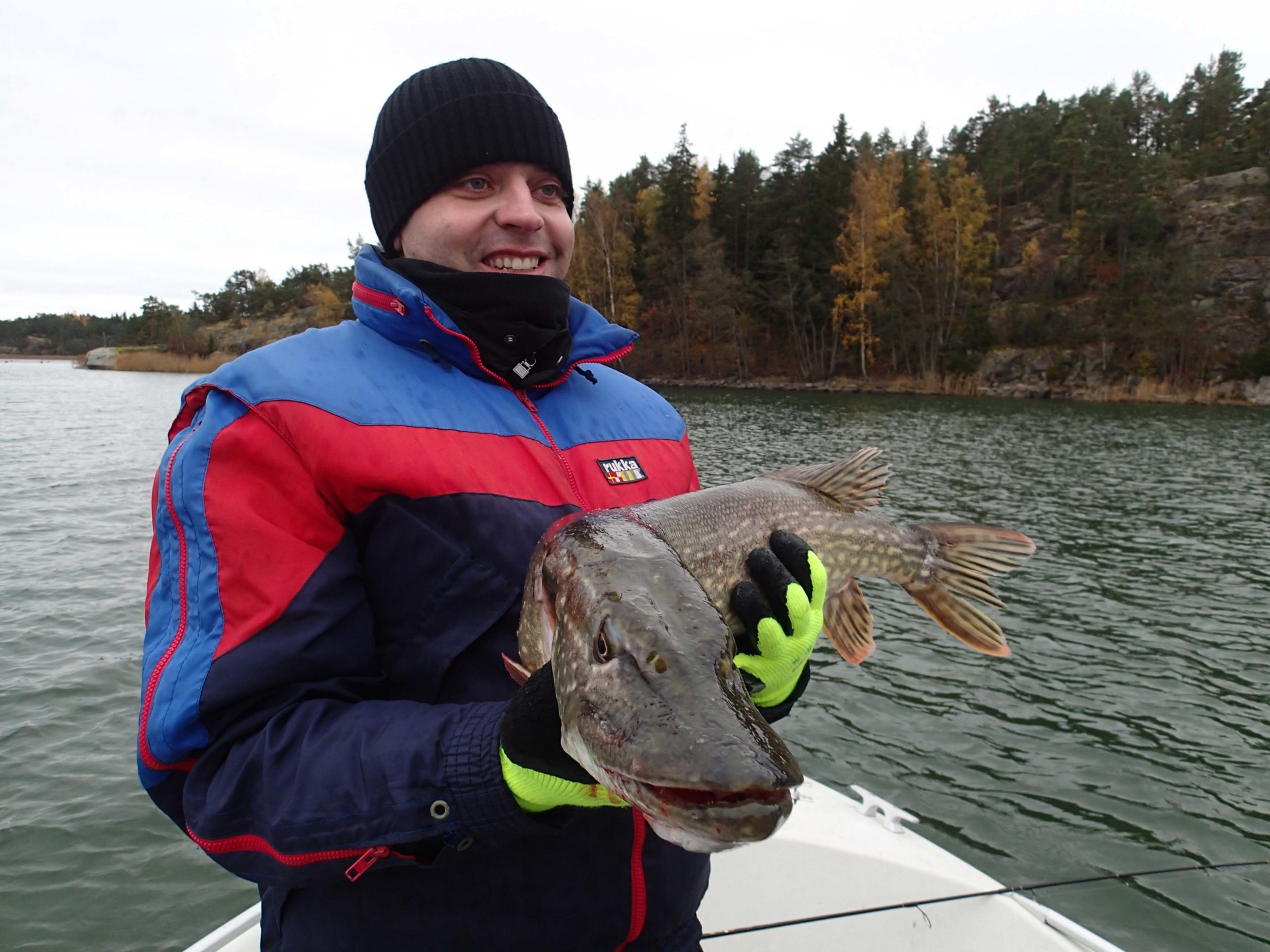 fishmaster globalfishing finland suomi hauki gädda pike seatrout havsöring meritaimen perhokalastus flyfishing flugfiske heittokalastus spinnfiske spinfishing kalastus kalastusmatka kalamatka kalastusretki