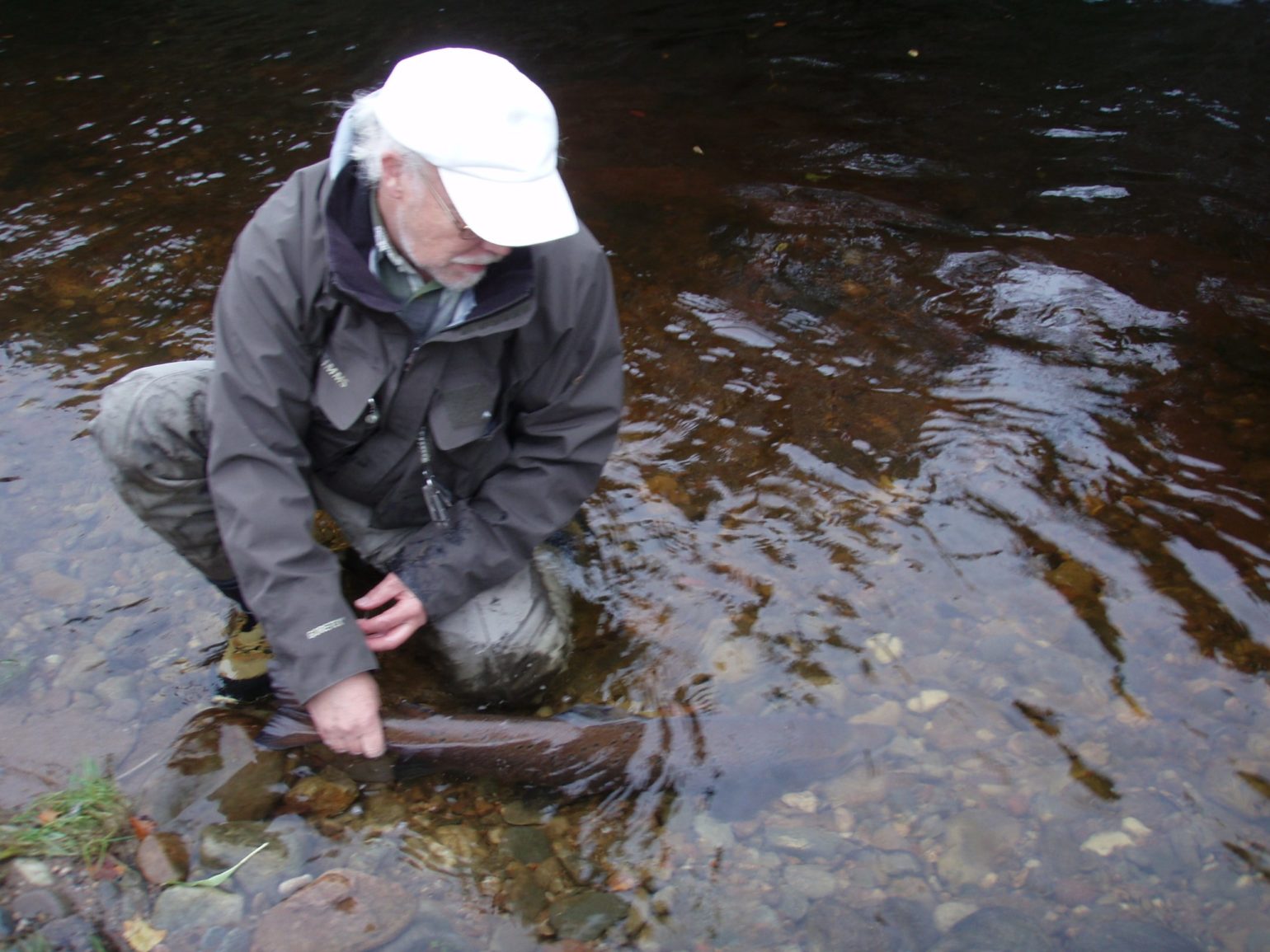 northesk scotland skotlanti skottland flyfishing flugfiske perhokalastus salmon lohi lax