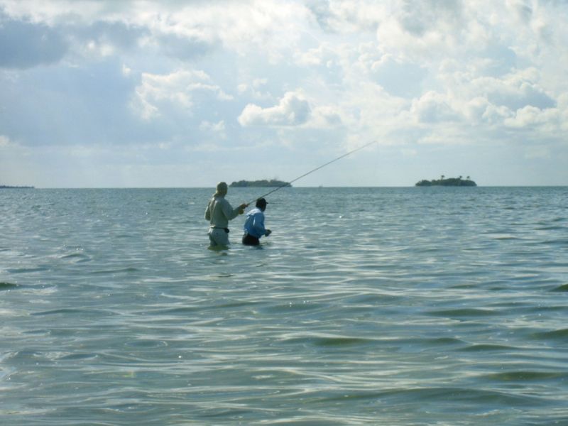 meksiko mexico ascensionbay flyfishing flugfiske perhokalastus permit tarpon bonefish kalastus perhokalastusmatka kalastusmatka fishmaster globalfishing