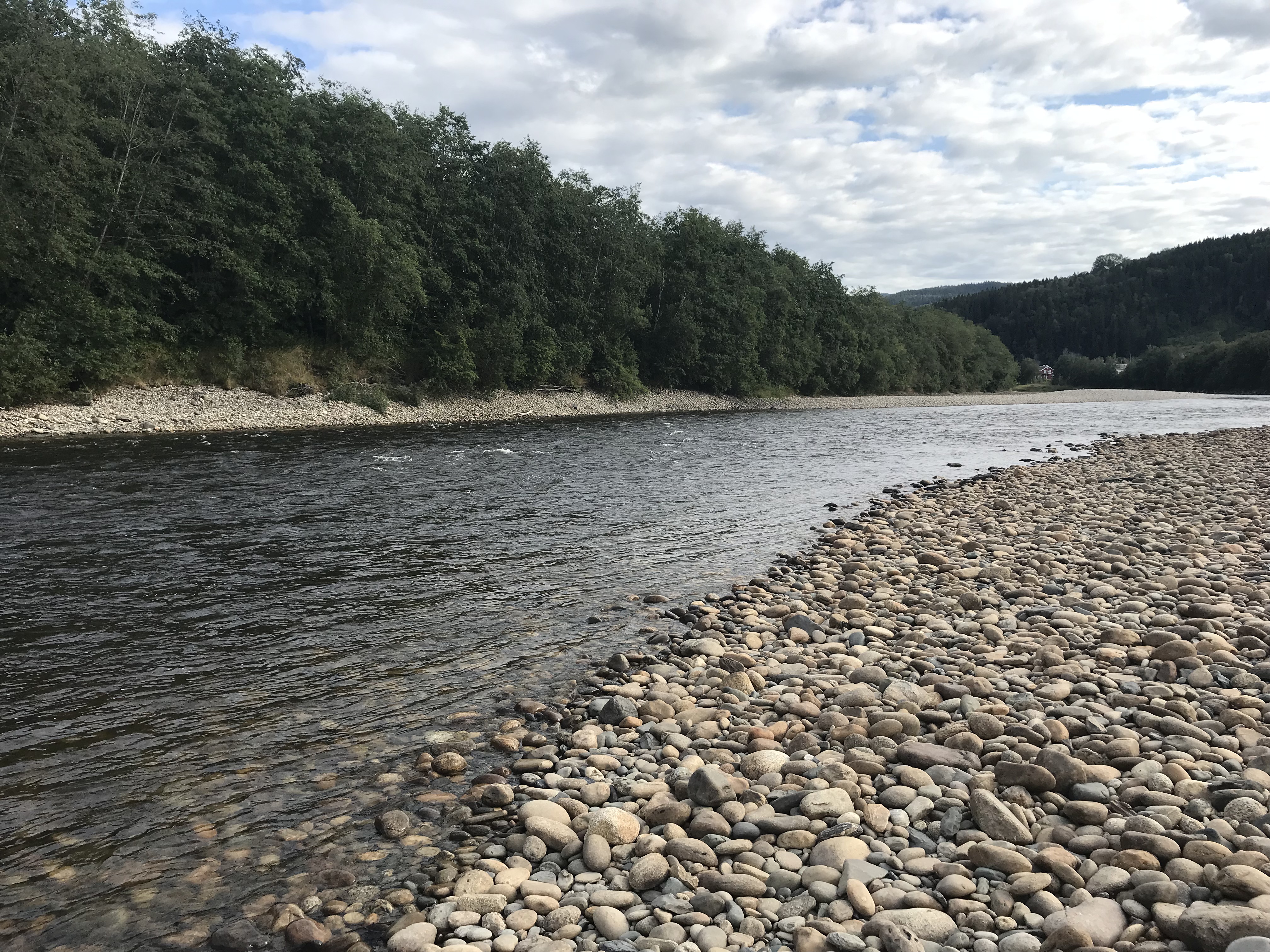 gaula gaulaflyfishing gaulaflyfishinglodge rivergaula gaulariver gaulajoki norway norja norge salmon laks lax lohi perhokalastus flyfishing flugfiske fluefiske salmonflyfishing perhokalastusmatka lohenkalastus kalastus kalastusmatka fishmaster globalfishing