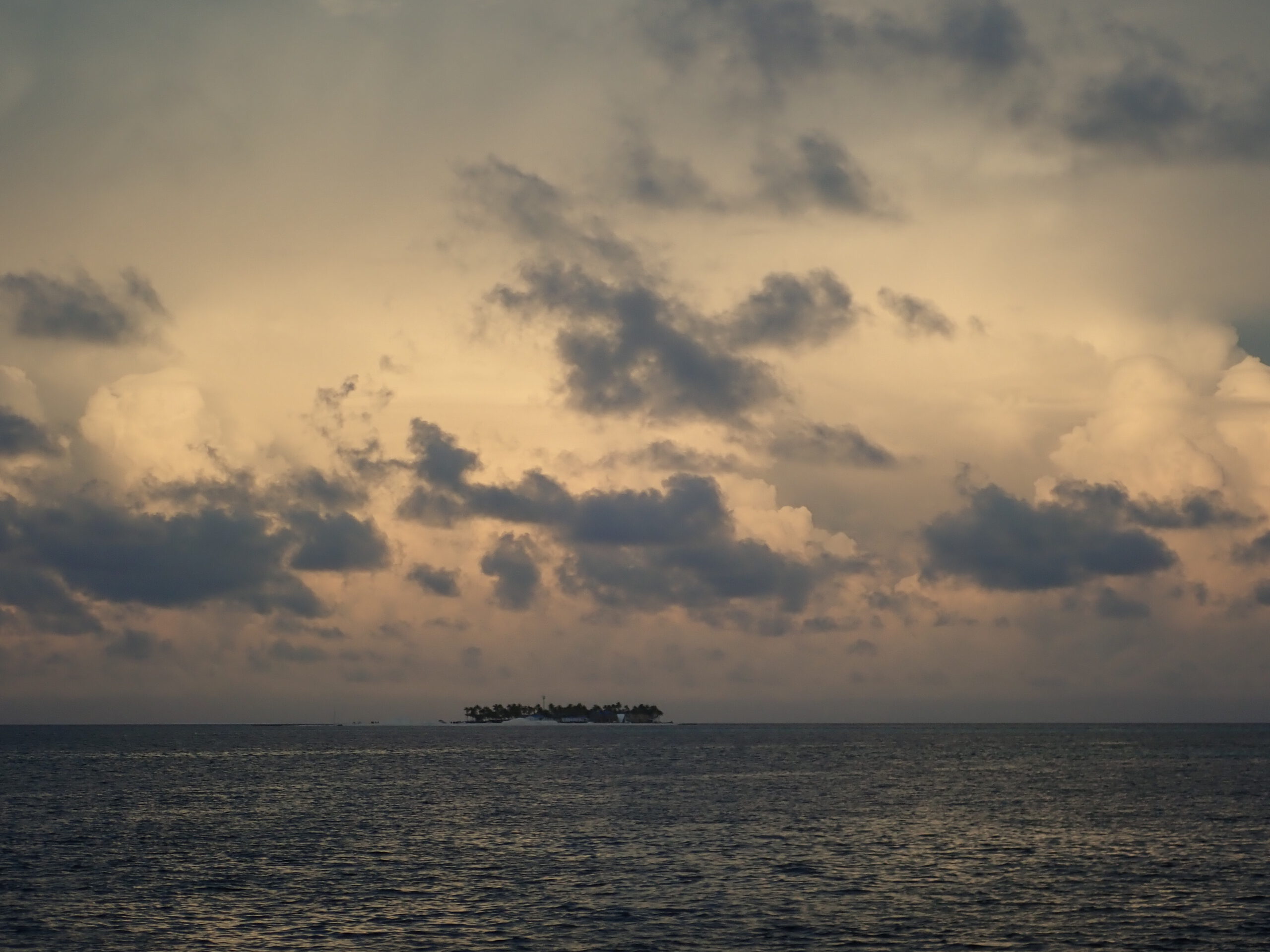 malediivit maldiverna maldives gt gianttrevally bluefintrevally perhokalastus flyfishing flugfiske fluefiske perhokalastusmatka kalastus kalastusmatka kalastusmatkat fishmaster globalfishing