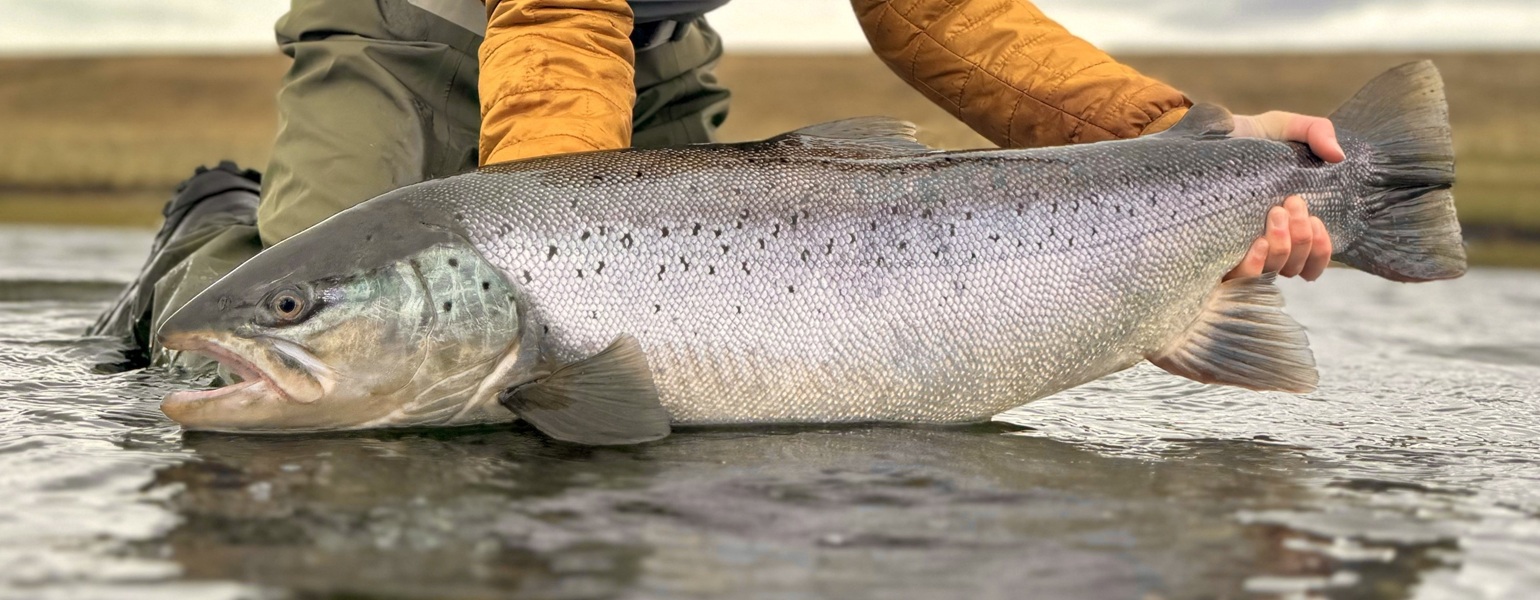 riogallegos argentina argentiina bellasofia bellasofialodge patagonia seatrout havsöring meritaimen perhokalastus flyfishing flugfiske fluefiske seatroutflyfishing perhokalastusmatka kalastus kalastusmatka fishmaster globalfishing