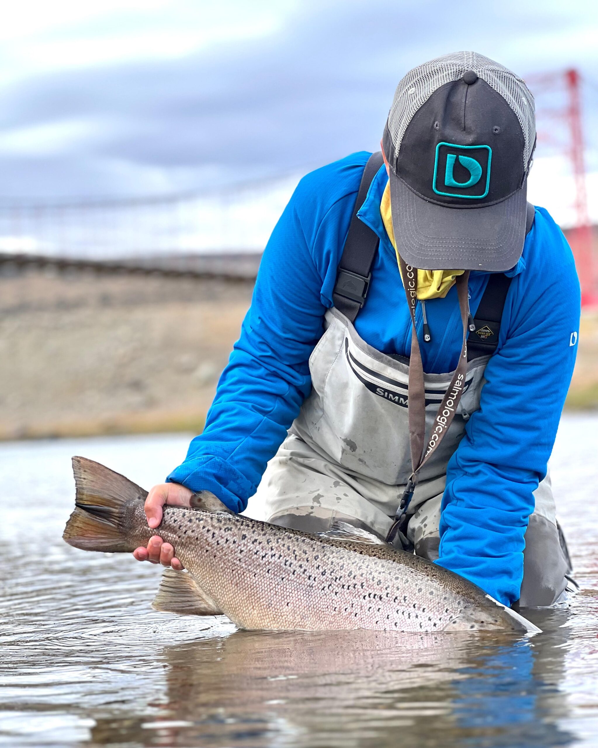 riogallegos argentina argentiina bellasofia bellasofialodge patagonia seatrout havsöring meritaimen perhokalastus flyfishing flugfiske fluefiske seatroutflyfishing perhokalastusmatka kalastus kalastusmatka fishmaster globalfishing