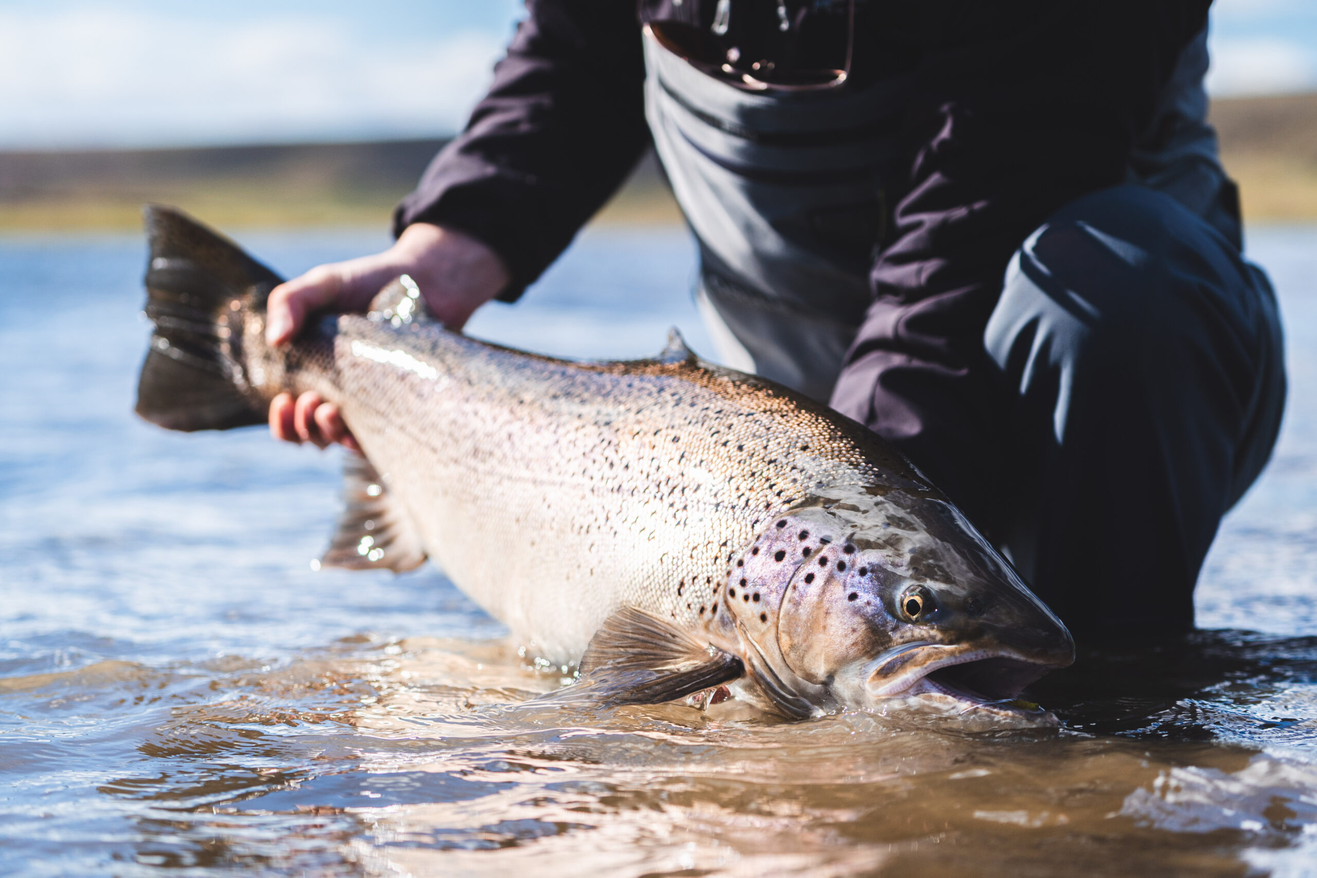 riogallegos argentina argentiina bellasofia bellasofialodge patagonia seatrout havsöring meritaimen perhokalastus flyfishing flugfiske fluefiske seatroutflyfishing perhokalastusmatka kalastus kalastusmatka fishmaster globalfishing