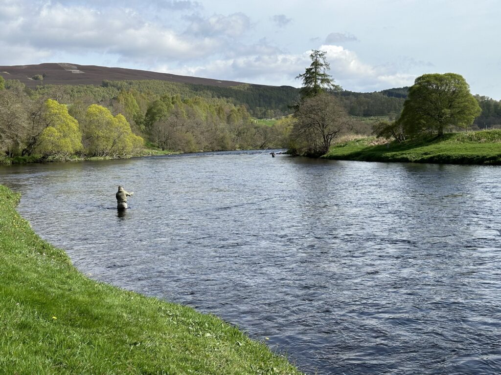 spey speyjoki riverspey speyriver speyälvenorton castlegrant scotland skotlanti skottland salmon laks lax lohi perhokalastus flyfishing flugfiske fluefiske perhokalastusmatka salmonflyfishing kalastus perhokalastusmatka kalastusmatka fishmaster globalfishing
