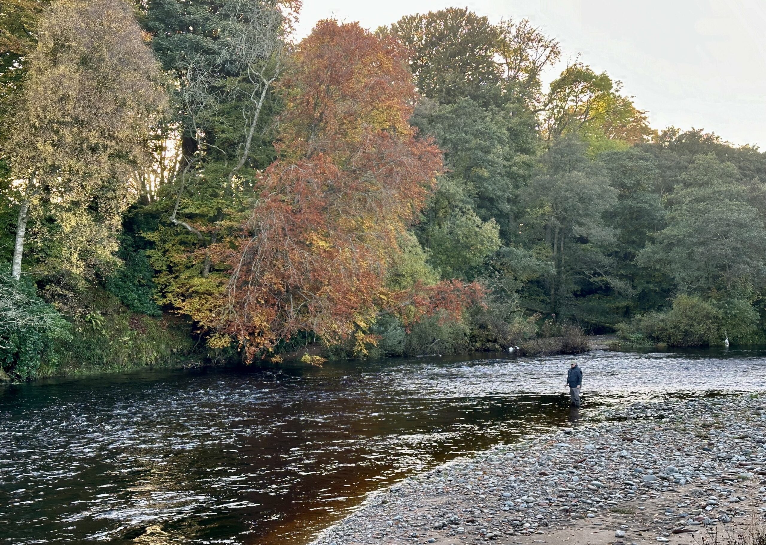 northesk rivernorthesk northeskjoki stracathro scotland skotlanti skottland salmon laks lax lohi perhokalastus stracathro flyfishing flugfiske fluefiske perhokalastusmatka salmonflyfishing lohenkalastus kalastus kalastusmatka fishmaster globalfishing