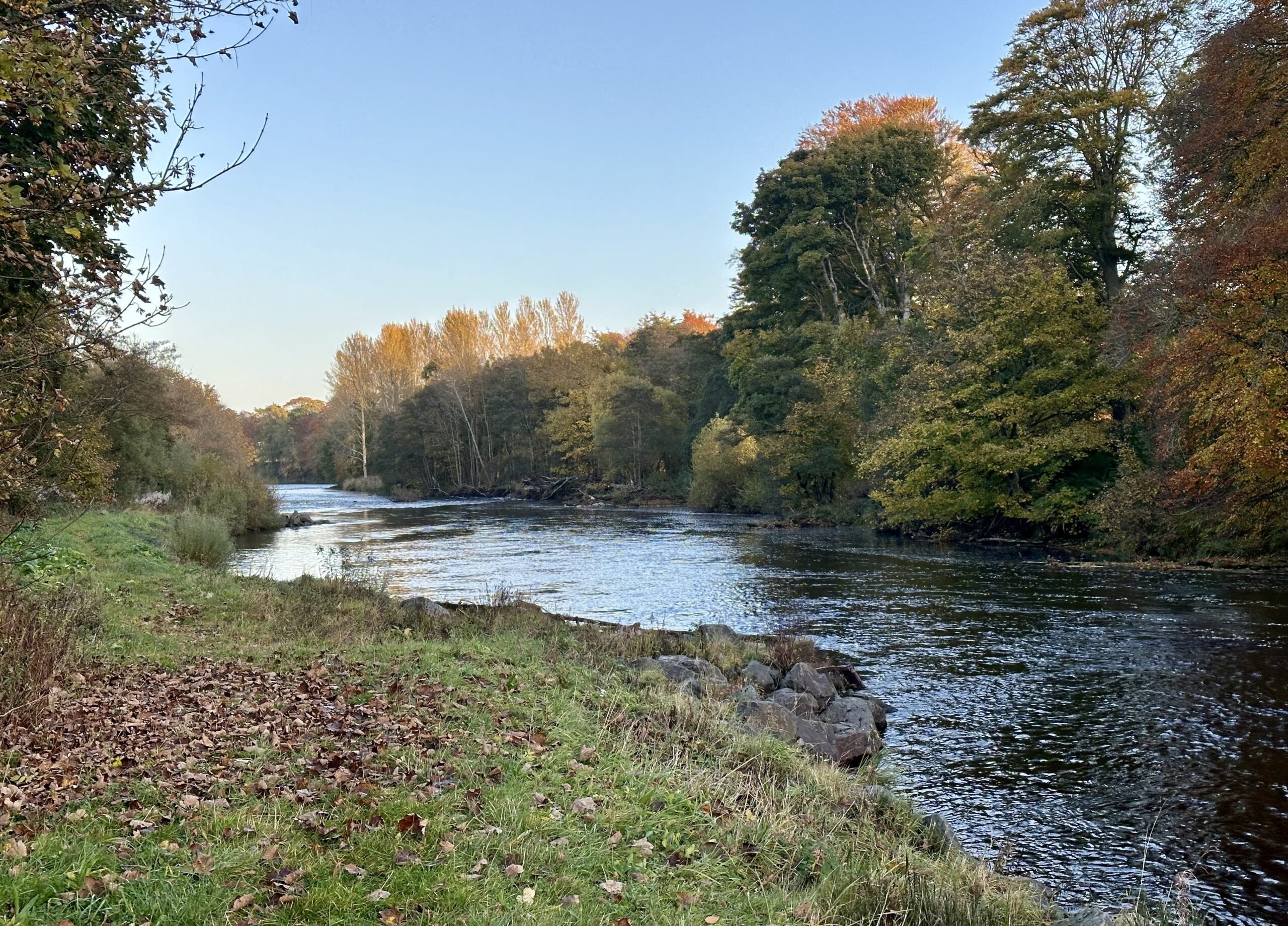 northesk rivernorthesk northeskjoki stracathro scotland skotlanti skottland salmon laks lax lohi perhokalastus stracathro flyfishing flugfiske fluefiske perhokalastusmatka salmonflyfishing lohenkalastus kalastus kalastusmatka fishmaster globalfishing