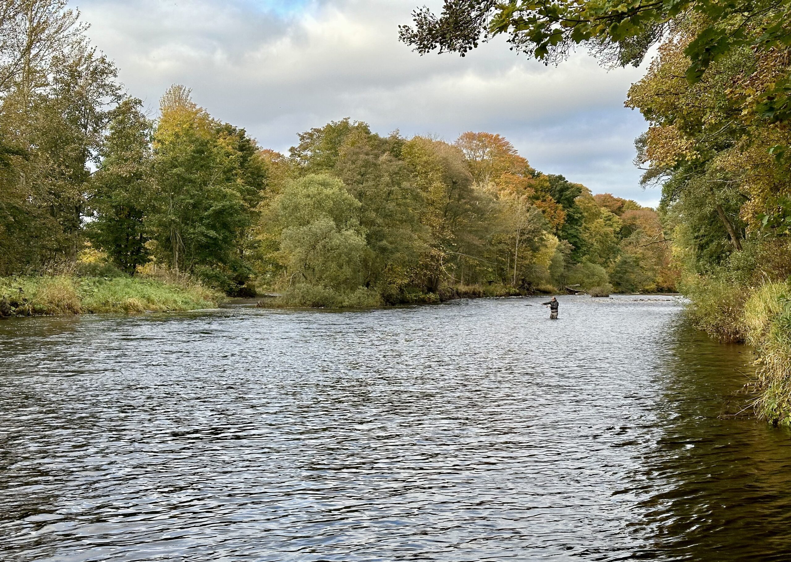 northesk rivernorthesk northeskjoki stracathro scotland skotlanti skottland salmon laks lax lohi perhokalastus stracathro flyfishing flugfiske fluefiske perhokalastusmatka salmonflyfishing lohenkalastus kalastus kalastusmatka fishmaster globalfishing