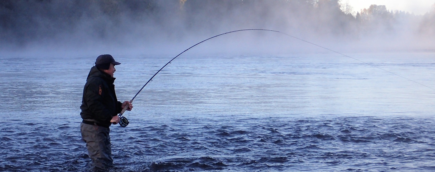 ljungan riverljungan ljunganälven sweden sverige ruotsi seatrout havsöring meritaimen salmon laks lax lohi perhokalastus flyfishing flugfiske fluefiske heittokalastus seatroutflyfishing salmonflyfishing kalastus kalastusmatka fishmaster globalfishing